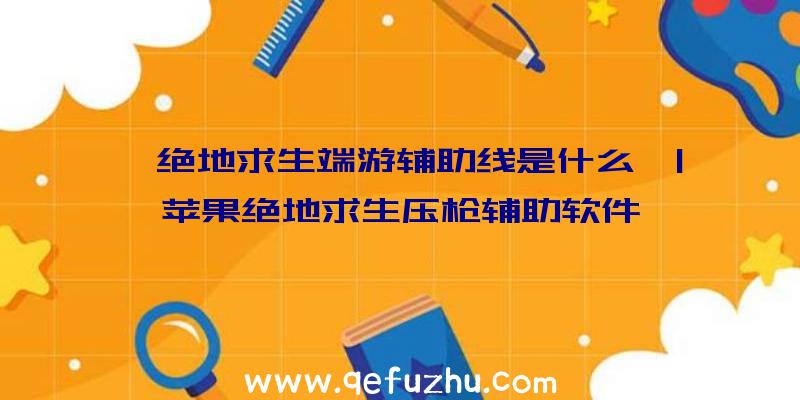 「绝地求生端游辅助线是什么」|苹果绝地求生压枪辅助软件